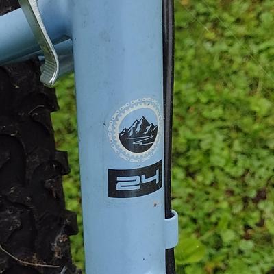 Road Master 24" Bicycle
