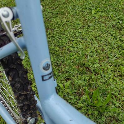 Road Master 24" Bicycle
