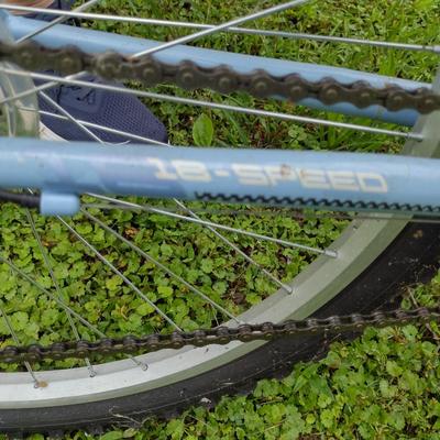 Road Master 24" Bicycle