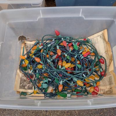 Collection of Christmas Lights- Assorted Designs