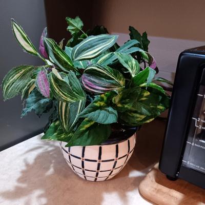 POWER XL AIR FRYER GRILL, WOODEN CUTTING BOARD AND FAUX PLANT