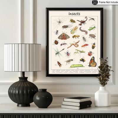 (LQP) PosterMaster Insects Poster - Educational Print - Learning Materials Art - Animal Art - 8x10 UNFRAMED Wall Art