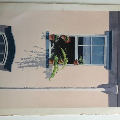 Window Plants Art Print