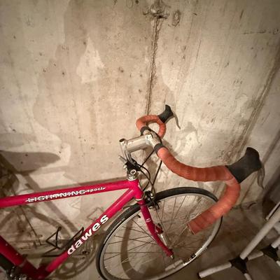 Dawes bicycle
