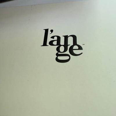 New L’ange hair tool and Chi hand held steamer