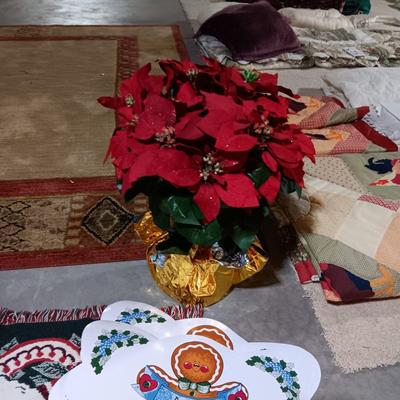 CHRISTMAS DECORATIONS