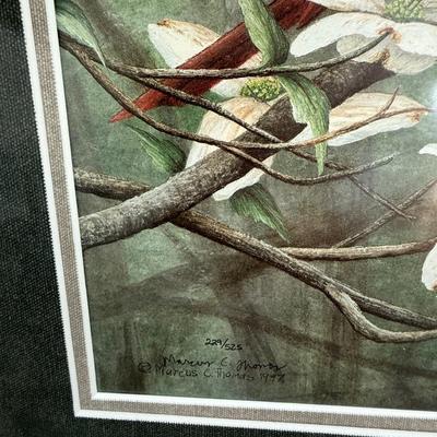 Pair of signed Marcus Thomas and numbered Cardinal artwork