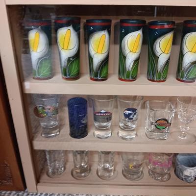 SHOT GLASS COLLECTION IN HANDMADE DISPLAY CASE