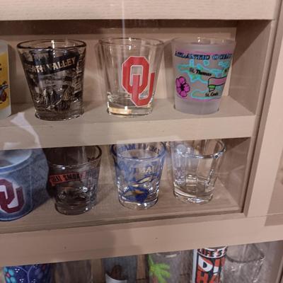 SHOT GLASS COLLECTION IN HANDMADE DISPLAY CASE