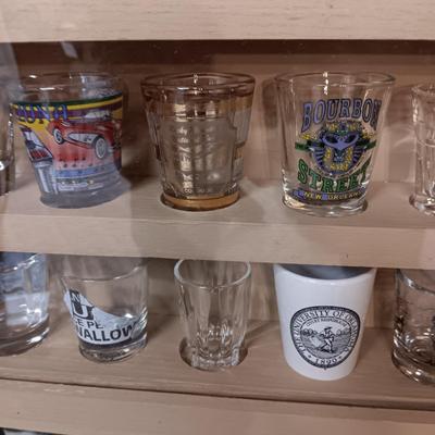 SHOT GLASS COLLECTION IN HANDMADE DISPLAY CASE