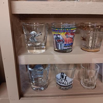 SHOT GLASS COLLECTION IN HANDMADE DISPLAY CASE