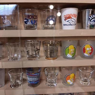 SHOT GLASS COLLECTION IN HANDMADE DISPLAY CASE