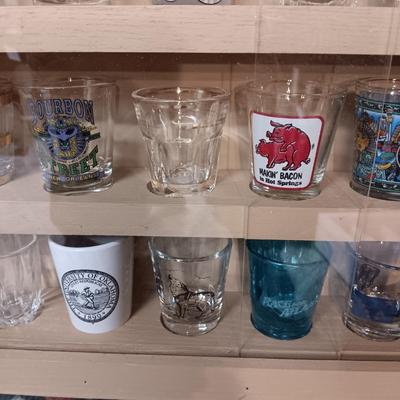 SHOT GLASS COLLECTION IN HANDMADE DISPLAY CASE