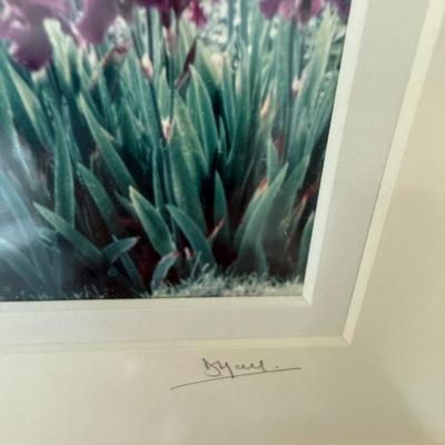 Signed photograph of gardens and cottage