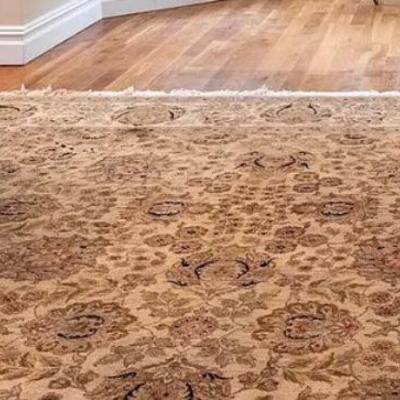 Large Kaoud oriental rug in beautiful beiges.
