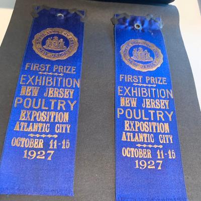 1920s Poultry Maryland State Fair Agricultural Showing Ribbons Album