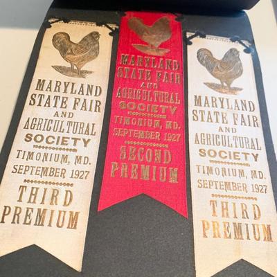 1920s Poultry Maryland State Fair Agricultural Showing Ribbons Album