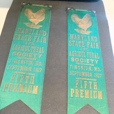 1920s Poultry Maryland State Fair Agricultural Showing Ribbons Album