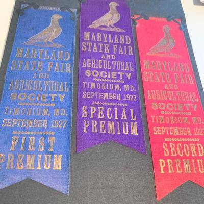 1920s Poultry Maryland State Fair Agricultural Showing Ribbons Album