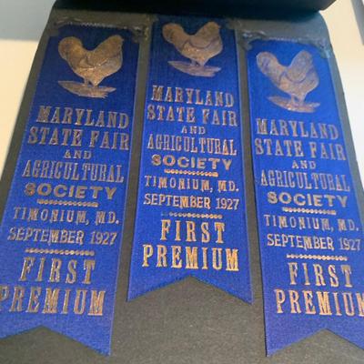 1920s Poultry Maryland State Fair Agricultural Showing Ribbons Album
