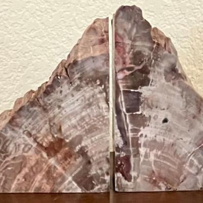 Petrified Wood Bookends