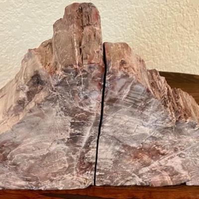 Petrified Wood Bookends