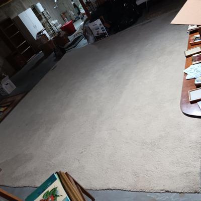LARGE PIECE OF USED CARPET