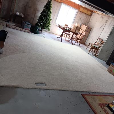 LARGE PIECE OF USED CARPET