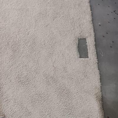 LARGE PIECE OF USED CARPET