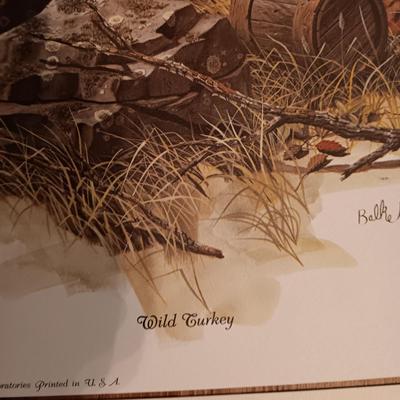 8 DON BALKE WILDLIFE PICTURES 1977