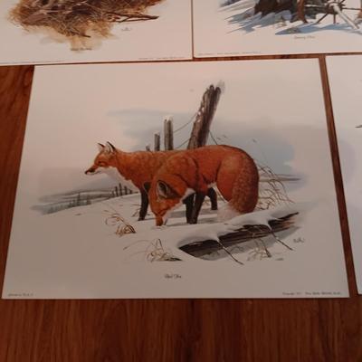 8 DON BALKE WILDLIFE PICTURES 1977