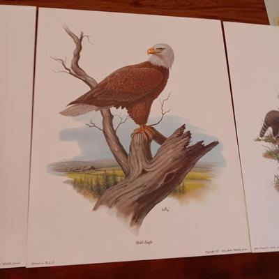 8 DON BALKE WILDLIFE PICTURES 1977