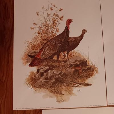 8 DON BALKE WILDLIFE PICTURES 1977