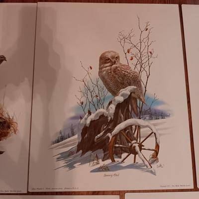 8 DON BALKE WILDLIFE PICTURES 1977