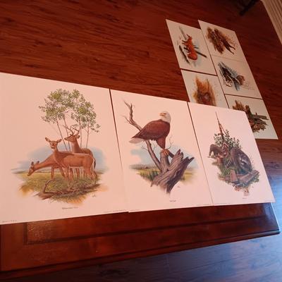 8 DON BALKE WILDLIFE PICTURES 1977