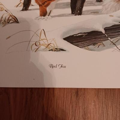 8 DON BALKE WILDLIFE PICTURES 1977