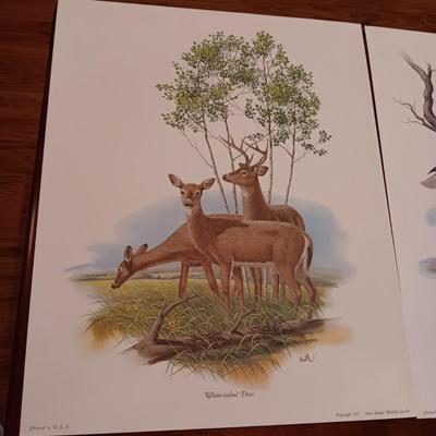 8 DON BALKE WILDLIFE PICTURES 1977
