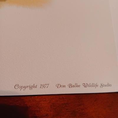 8 DON BALKE WILDLIFE PICTURES 1977