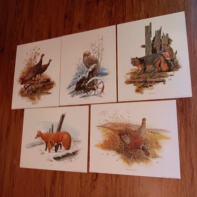 8 DON BALKE WILDLIFE PICTURES 1977