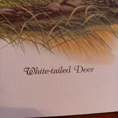 8 DON BALKE WILDLIFE PICTURES 1977