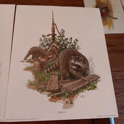 8 DON BALKE WILDLIFE PICTURES 1977