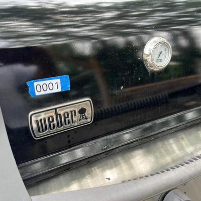 Weber Spirit Grill
