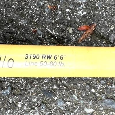 Fishing Rods Lot