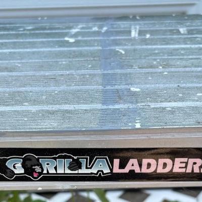 Gorilla Ladder