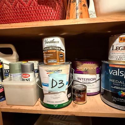 D3-Paint/solvent bundle