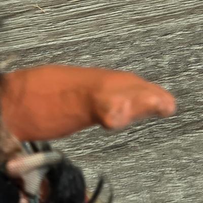 LOT 81K: Vintage Dolls Including Hand Sewn Native American, The Virgin Islands, Spain, Mexico & More From Around The World