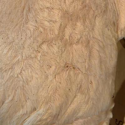 LOT 82: 2 Vintage Celluloid Face Dolls W/Cloth Bodies, One In A Bunny Suit & The Other In Stripes W/A Red Pull Down Hood