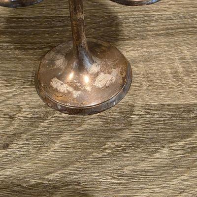 LOT 93K: 12 Vintage Silver-Plated Goblets W/Individual Dust Covers