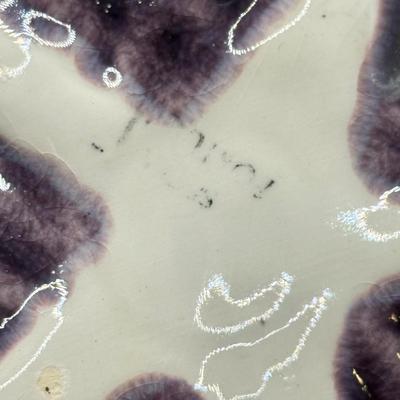 LOT 101K: Vintage Mini Toby Mugs, Purple Cabbage Sugar Bowl Creamer Set & Bake Rite Canister