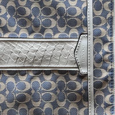 Five Coach Bags (PC-DZ)